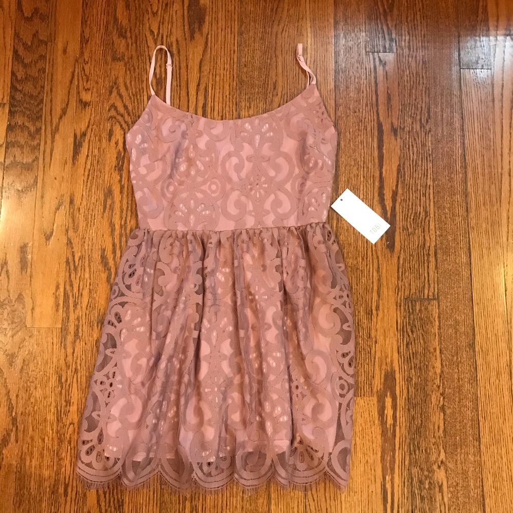 Tobi Bella Dark Rose Lace Skater Dress NWT